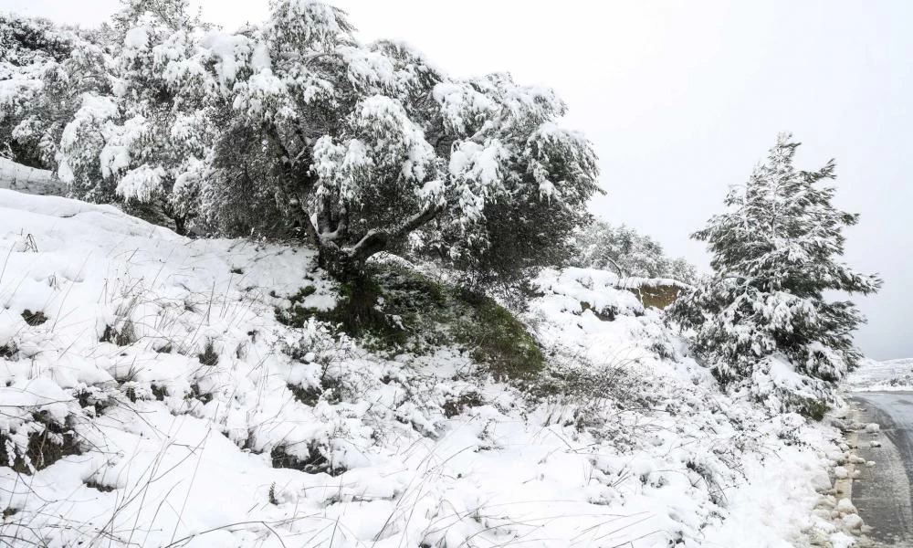 Κρήτη: Αγρότες και κτηνοτρόφοι μετρούν τις πληγές της κακοκαιρίας – Σε εξέλιξη η καταμέτρηση των ζημιών